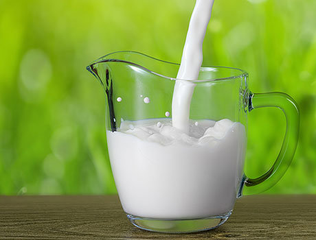 Скиснути не встигне: молочна ферма, побудована на нашому бізнес-плані, буде відповідати європейським стандартам якості